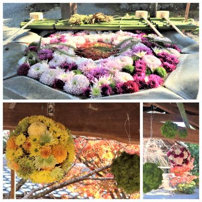 ２０２１『京都の紅葉ホッピング』☆＊☆その１＆その２＜長岡天満宮から花手水に癒やされる光明寺＆勝林寺ライトアップ＞