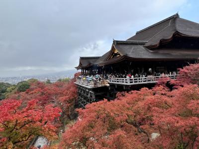 紅葉を巡るぶらぶら京都旅