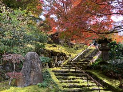 紅葉の京都（白龍園　瑠璃光院　東福寺）と　奈良薬師寺