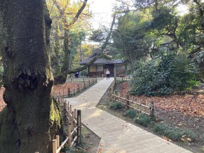 東京国立博物館に紅葉を見に行った