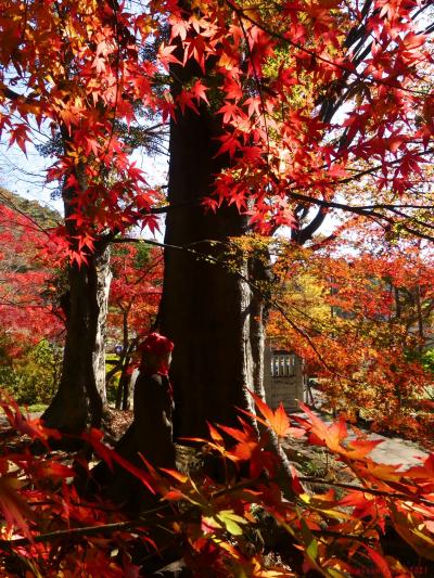 太田 紅葉 に関する旅行記 ブログ フォートラベル 群馬県