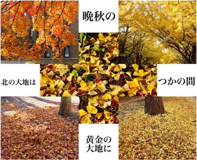 北へ　札幌（前編）～晩秋の北の大地は 黄金色と真っ赤に彩られ♪( ´▽｀)て～の巻