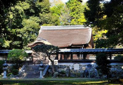 情緒纏綿 近江逍遥④三井寺（園城寺）北院 新羅善神堂