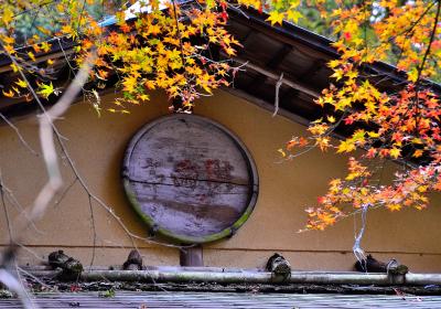 情緒纏綿 近江逍遥⑤三井寺（園城寺）北院 法明院（エピローグ）