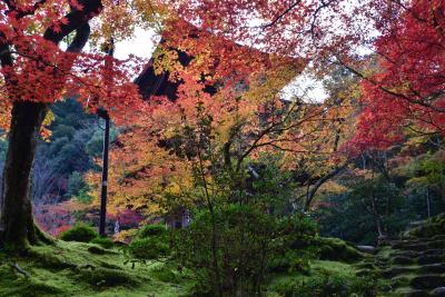 シニアの2021年、紅葉の季節ですねっ［５］　西明寺、金剛輪寺