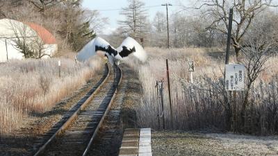 ２０２１年１１月 北海道列車のたび その６ 釧路・茅沼駅 タンチョウ（動画もあります）