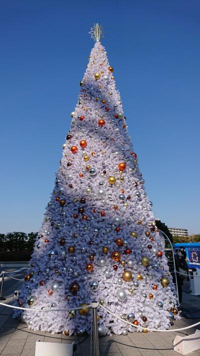 お台場、温泉、スカイツリー、浅草、ディズニーシーうろうろ