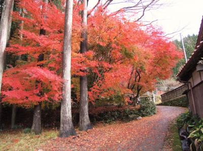 因幡・鳥取　晩秋の旧因幡街道宿場町・智頭をぶらぶら歩きの旅ー１