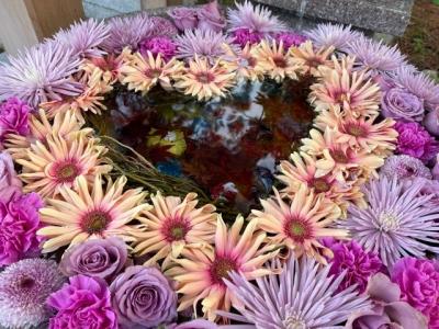 旅のリハビリ！１泊２日の福島・新潟ひとり旅②【新潟市内＆弥彦篇】