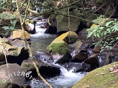 比志島の滝を見に行ってみた～お昼は麺屋むすびさんで