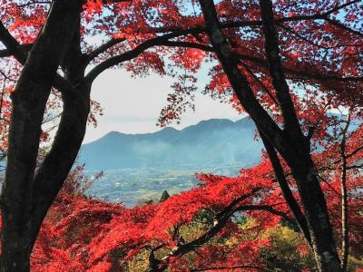 最上山公園(&#127809;もみじ山)周辺ハイキング