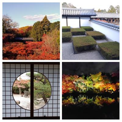 秋色の京都を一人旅 -2- 　東福寺・光明院・高台寺と清水寺は昼夜、そしておばんざい料理