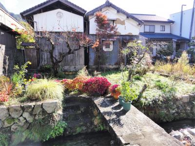 因幡・鳥取　晩秋の旧因幡街道宿場町・用瀬宿をぶらぶら歩きの旅ー２