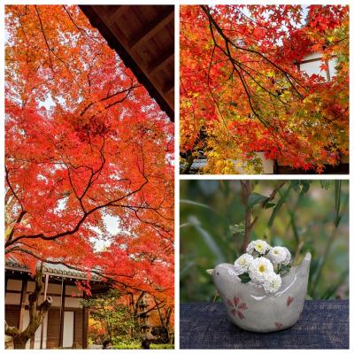 風景画「紅葉の常寂光寺Ⅱ」油彩画 F10 京都・嵯峨野 張り