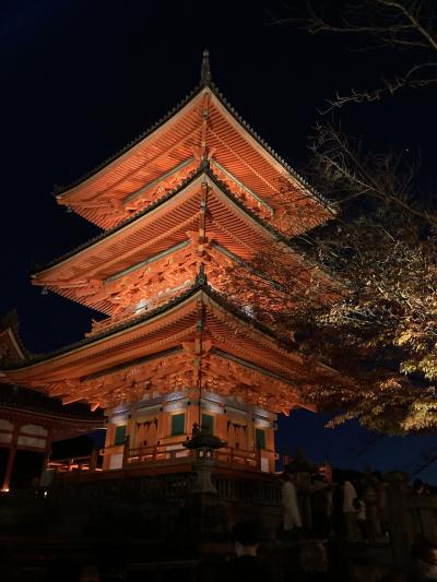 京都紅葉名所10景 D-2PM  金戒光明寺、真如堂&清水寺ライトアップ