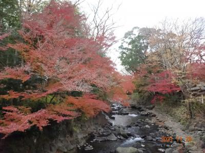 修善寺紅葉、沼津で干物そして御殿場アウトレット