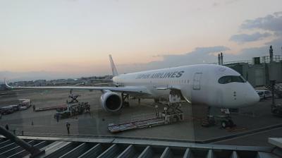 2021年11月 JALファーストクラス A350-900 東京→ 福岡 搭乗の旅
