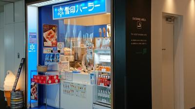 ANA Premiumクラス 福岡~新千歳空港に雪印パーラーのソフトクリームを食べに行くだけの旅