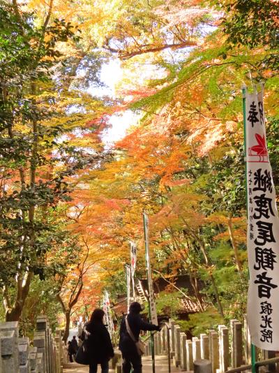 犬山【寂光院の紅葉】に行って来ました 