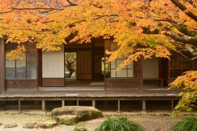 紅葉が見頃な下関長府の町を散策します～毛利邸～