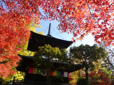 「鑁阿寺」の紅葉_2021_見頃終盤、一部枯れ始め散り始めです（栃木県・足利市）