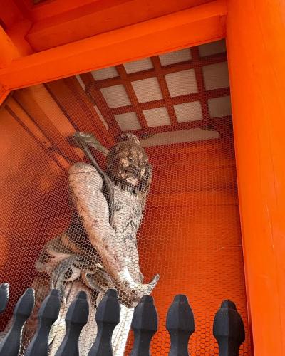 京都山科てくてく旅行！…東寺でも紅葉を楽しむ…後半ひとり旅編！
