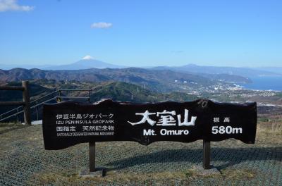 大室山からの眺望（東京スカイツリーも見えました）
