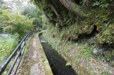 秋の伊豆と信州の優雅な旅♪　Vol.22 ☆湯ヶ島温泉：昭和のロマン「湯道」♪