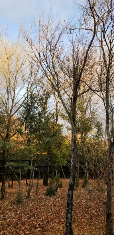 お休みとってくれたので、フリューゲル久住へ( *´艸)