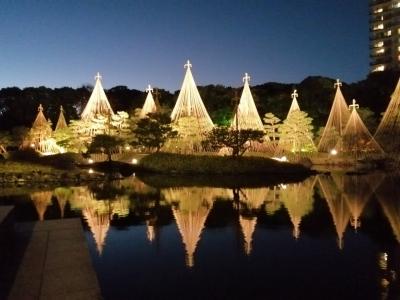 白鳥庭園の紅葉のライトアップ