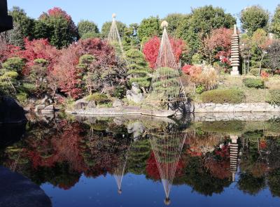 東京目白散策・・平成に入り造園された本格的日本庭園、目白庭園をめぐります。