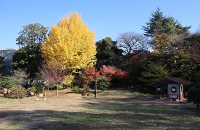 東京下落合散策・・将軍家の狩猟場跡地を利用、おとめ山公園をめぐります。