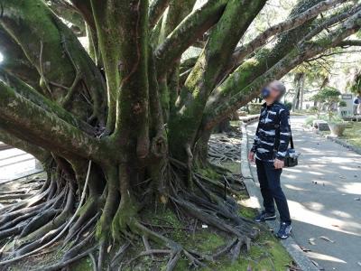 いっちゃが！宮崎　やっぱりストレスは温泉で癒すのだ。