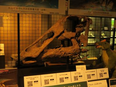 2021.Nov. むかわ町立穂別博物館で恐竜の化石を見よう