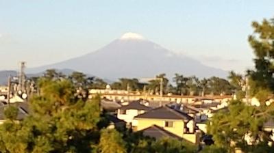 富士山を見て、浜名湖の鰻と浜松餃子を食べる旅