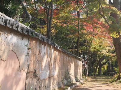 チャリと行く西なびグリーンパスの旅 2021 /１日目(11/14)前編