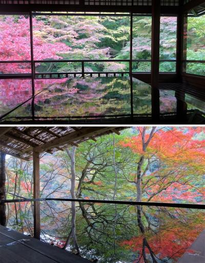 京都の紅葉その②：「床」と「水鏡」、どっちのもみじがきれい？どっちもきれい！