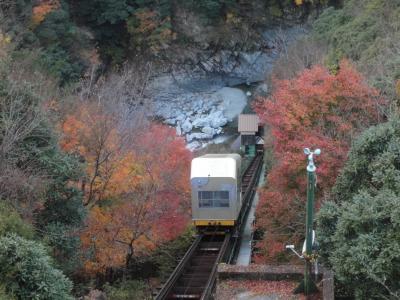 徳島祖谷温泉と鳴門うず潮の旅