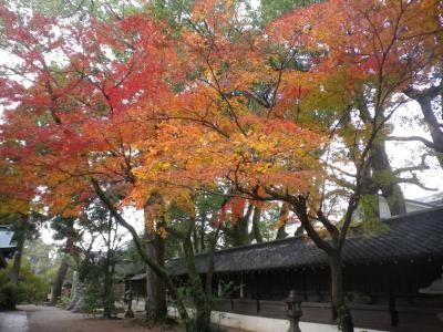 京都　名残の紅葉　御霊神社～寺町通の4寺～京都御苑2021