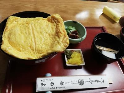 たまにはベタな観光旅行2112　「京都府民割でビジホに泊まって、たぬきうどん＆卓袱うどん＆木の葉丼＆衣笠丼＆京極かねよ＆志津屋＆都野菜賀茂」