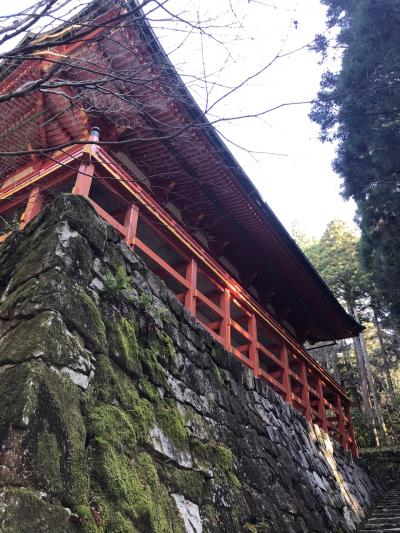 ひとり日帰り旅&#11088;︎京都下鴨神社～瑠璃光院～比叡山延暦寺