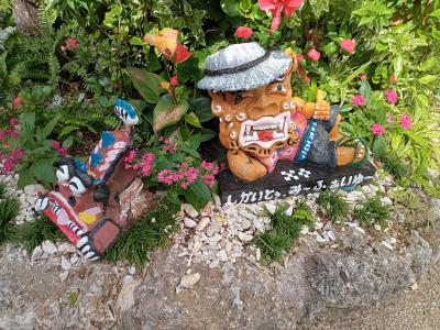 初めての石垣島☆石垣牛ときどき石垣猫！！！