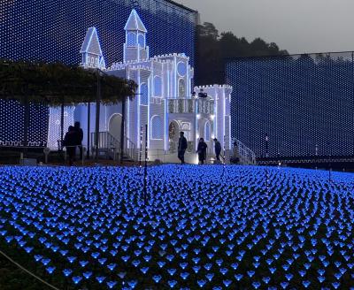 2021.11 宇都宮～あしかがフラワーパークand佐野