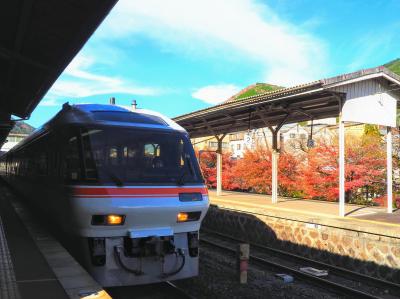 2021.11 高山本線で行く下呂温泉(2)キハ85「ワイドビューひだ」展望席を満喫した帰り道。