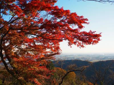 近場ドライブ、紅葉を見に栃木市の太平山へ