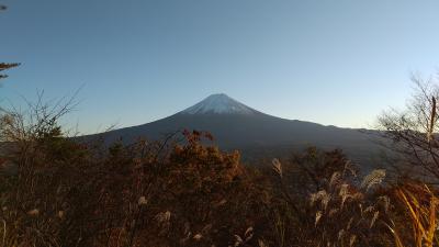 富士山に会いたい！その2・富士樹海編。