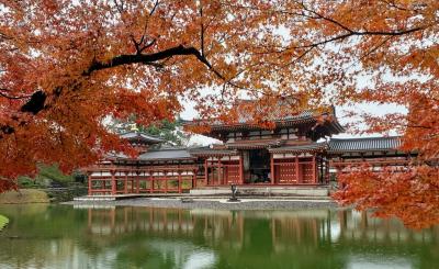 宇治 紅葉 に関する旅行記 ブログ フォートラベル 京都