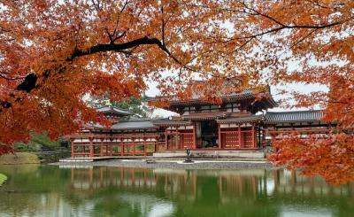 今年こそ京都へ！12月でもまだまだ紅葉を楽しめました④雨の中、下鴨神社と平等院