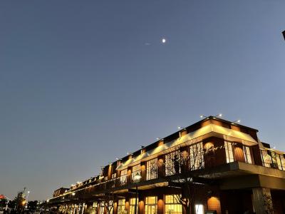 2021年師走のささやかな営みと久しぶりの鎌倉、横浜、東京駅付近。