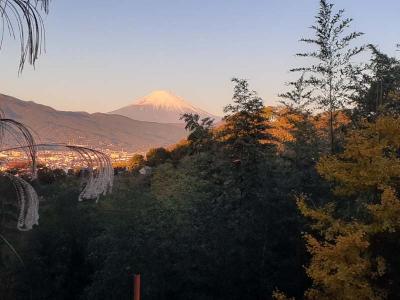 国府津蜜柑山散歩と１２月の富士山